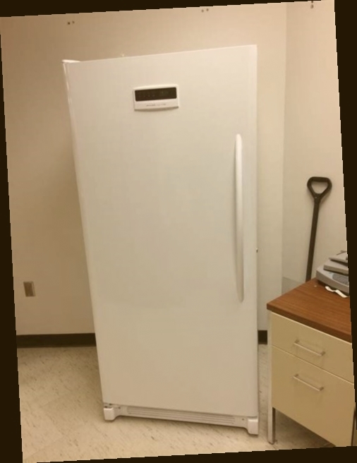 frigidaire congelateur encastrable