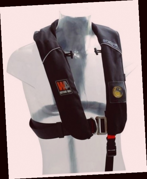 gilet de sauvetage pour chien