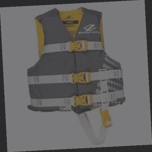 gilet de sauvetage en anglais