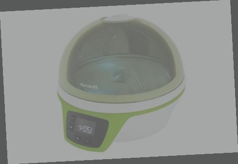 micro onde brandt rond