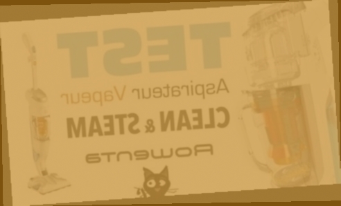 nettoyeur vapeur avec aspiration d'eau