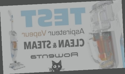 nettoyeur vapeur avec aspiration d'eau