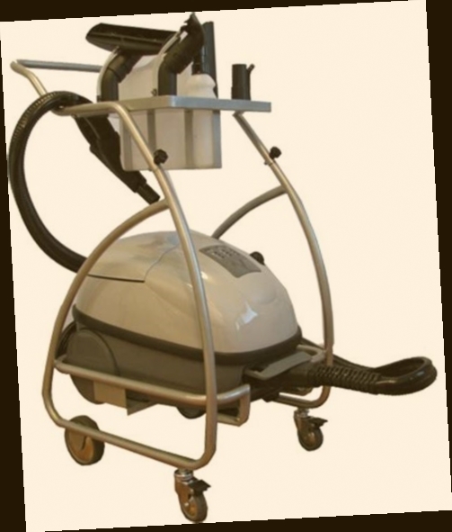 nettoyeur vapeur professionnel automobile