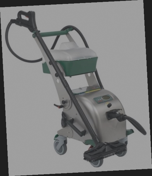 nettoyeur vapeur professionnel automobile