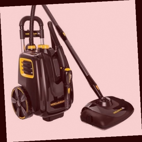 nettoyeur vapeur tapis