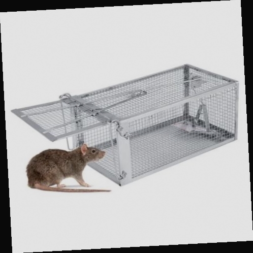 piège à souris
