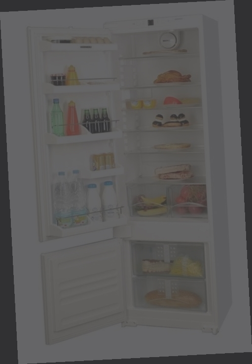refrigerateur congelateur encastrable