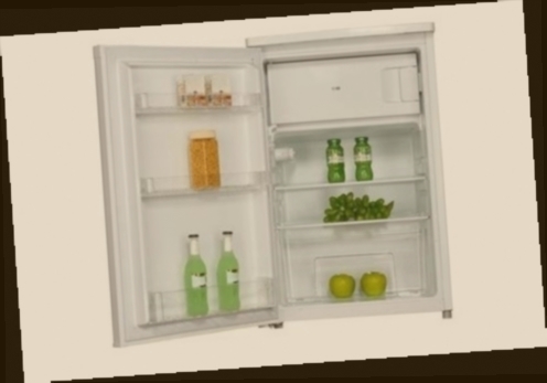 refrigerateur proline petit