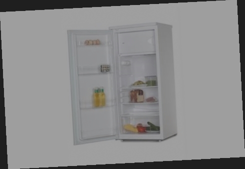 refrigerateur proline petit