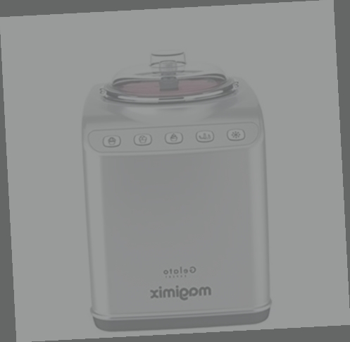 sorbetiere magimix avis