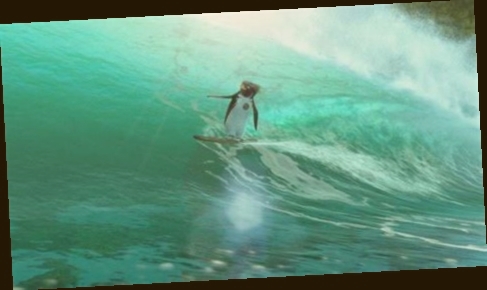 surf dubai