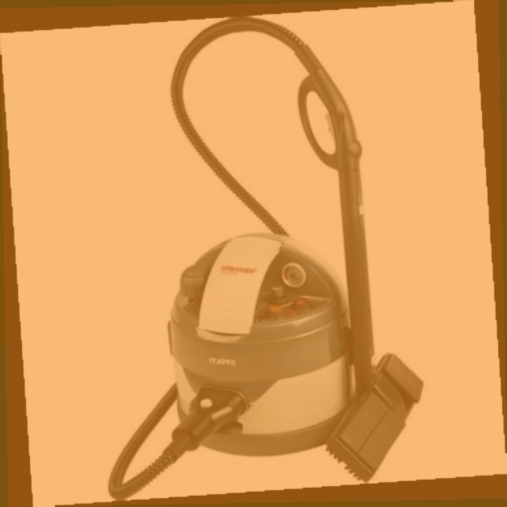 vaporetto karcher darty