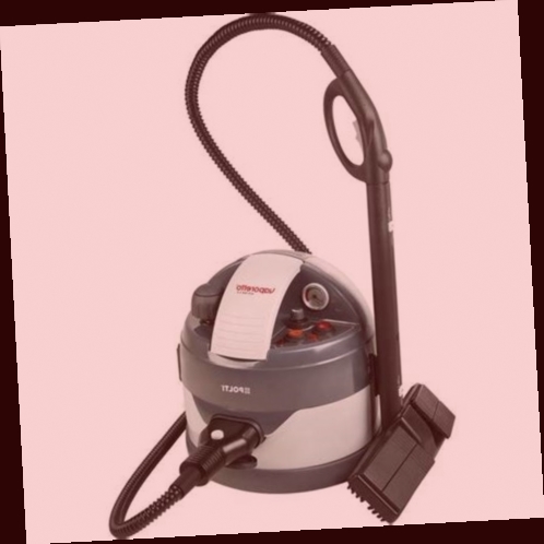 vaporetto karcher darty