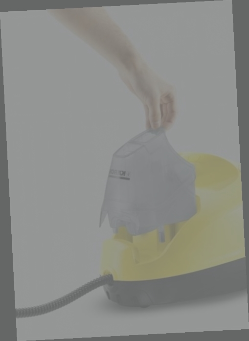 vaporetto karcher avis