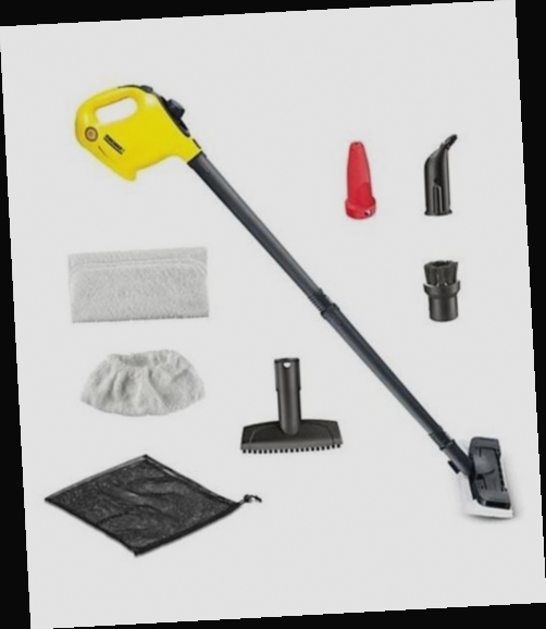 vaporetto karcher vitre