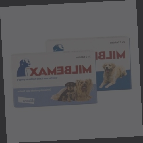 vermifuge milbemax chien