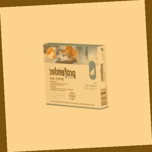 vermifuge profender chaton