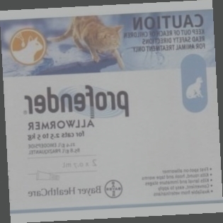 vermifuge profender chien