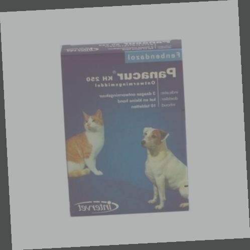 vermifuge profender chien