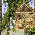 TOP des 6 meilleurs Hôtel À Insectes - RABAIS - 65 %