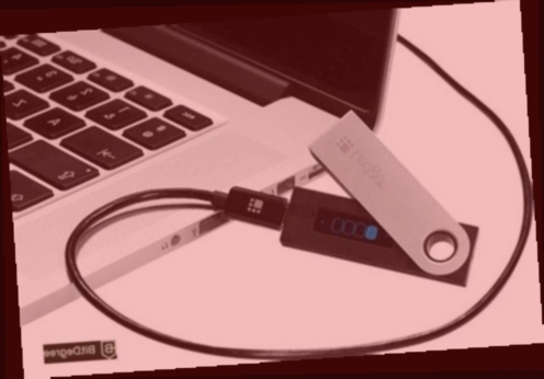 ledger wallet