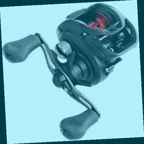 moulinet casting silure