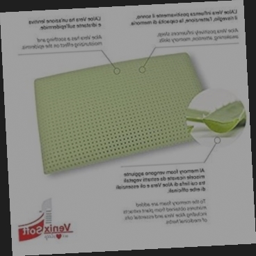 oreiller memoire de forme lot de 2