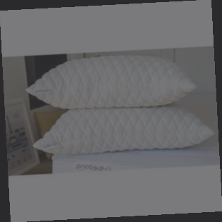 oreiller memoire de forme lot de 2