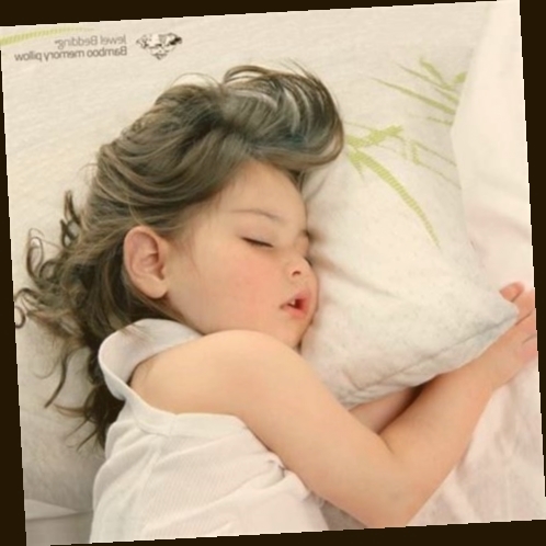 oreiller memoire de forme lot de 2