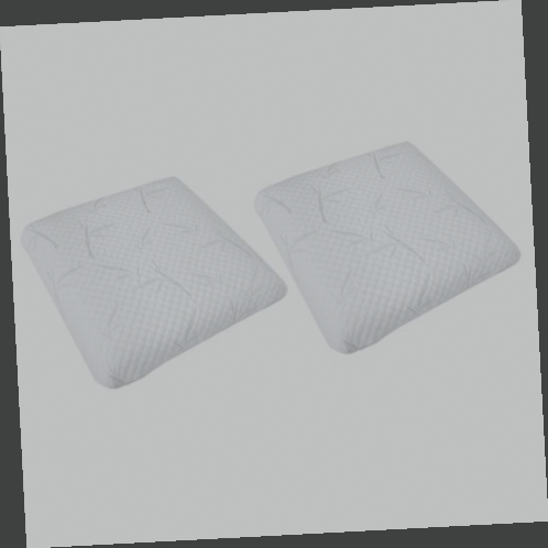 oreiller memoire de forme lot de 2