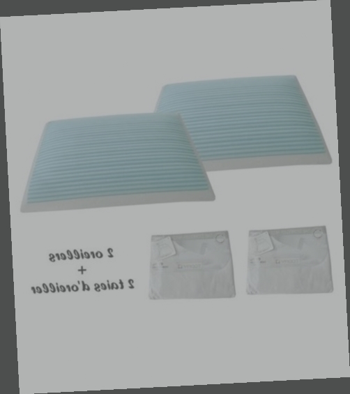 oreiller memoire de forme lot de 2