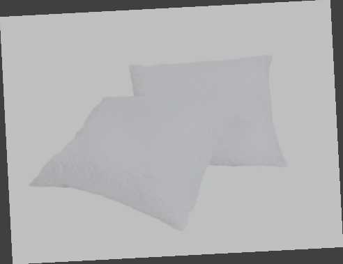 oreiller memoire de forme lot de 2