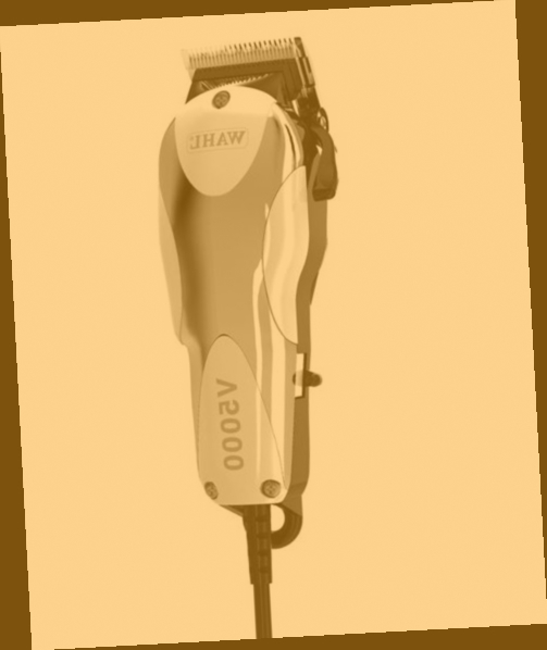 tondeuse cheveux leclerc