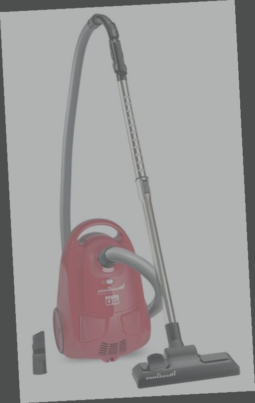 aspirateur bidon parkside