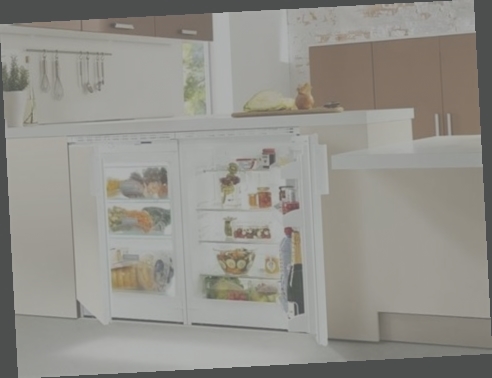 congelateur sous plan bosch