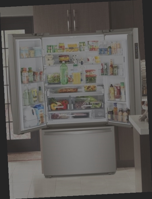réfrigérateur frigidaire professional